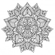 Абонементы